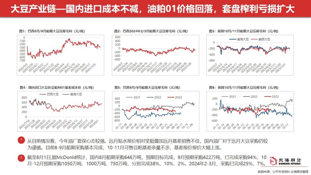 B40计划推迟掀波澜，棕榈油价格遭遇大幅回落不确定性