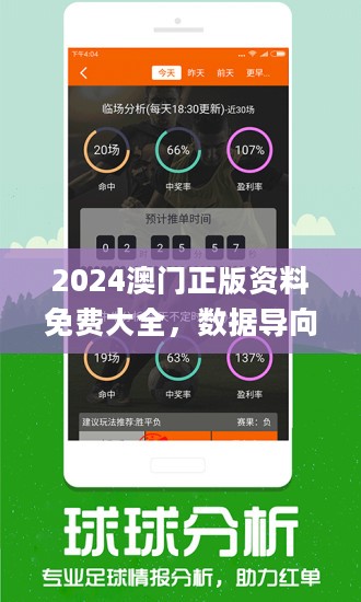 2024新澳门正版免费挂牌灯牌｜精选解释解析落实